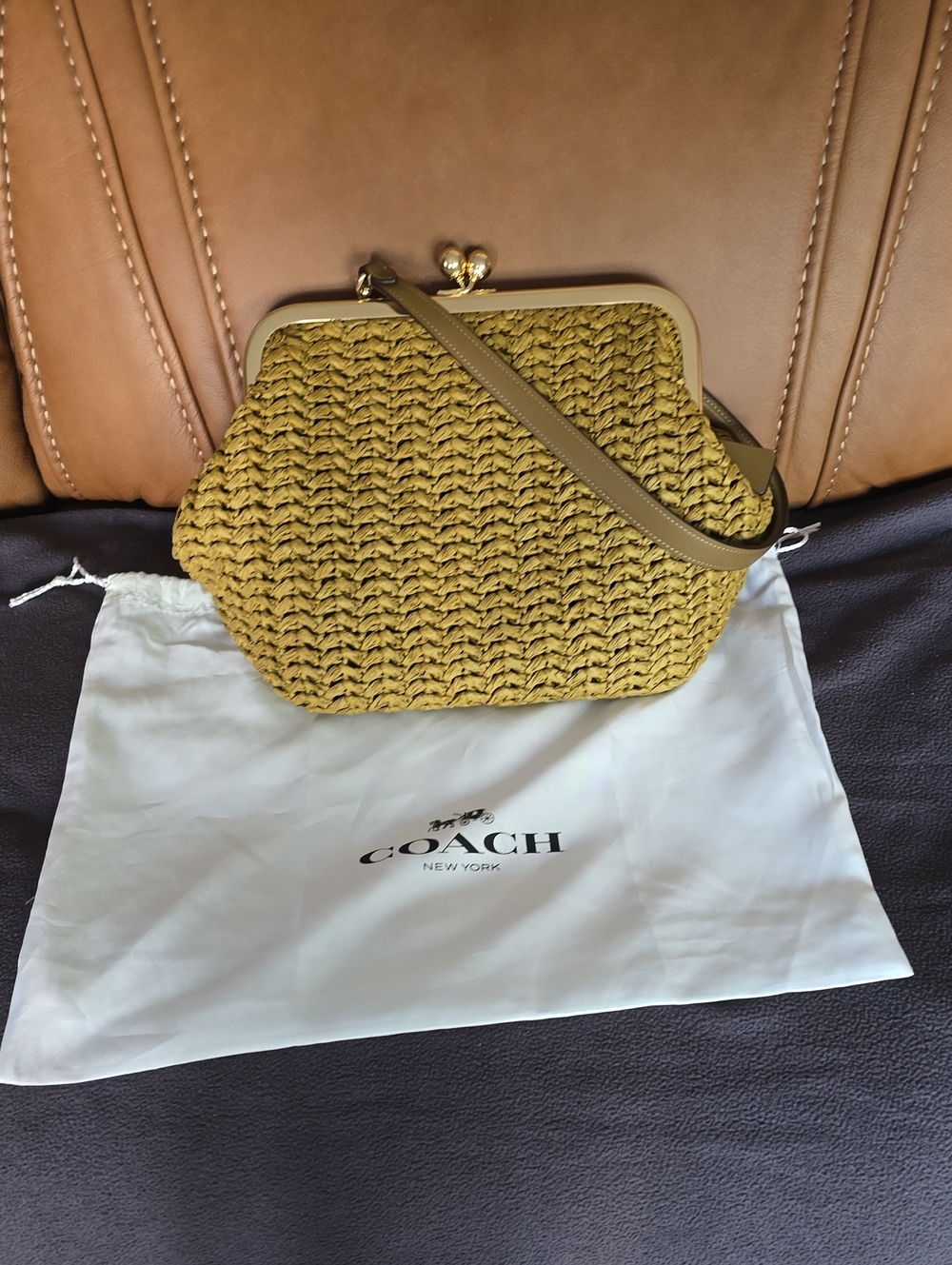 Coach Woven Straw Kiss-Lock Clutch